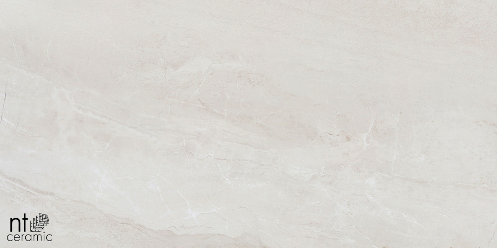 Керамогранит NT Ceramic ZS612NTT9702P Zeus 60x120