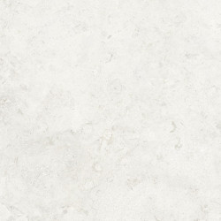 Керамогранит ProConcept 225522 Norwegian White 59.5x119.2