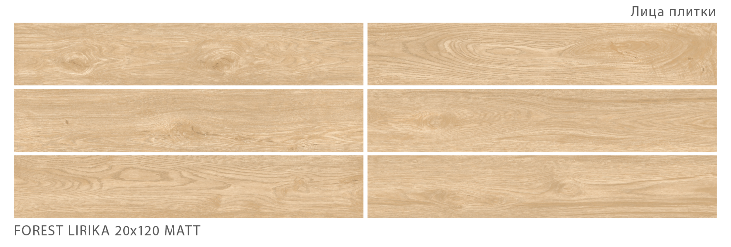 Керамогранит StaroWood Forest Lirika Matt 20x120