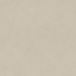 Керамогранит Atlas Concorde Italy AQ9X Boost Natural Pro Cinder 60x60