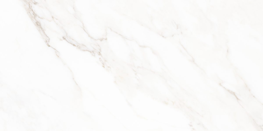 Керамогранит Neodom N40059 Classic Marble Calacatta Polished 60x120
