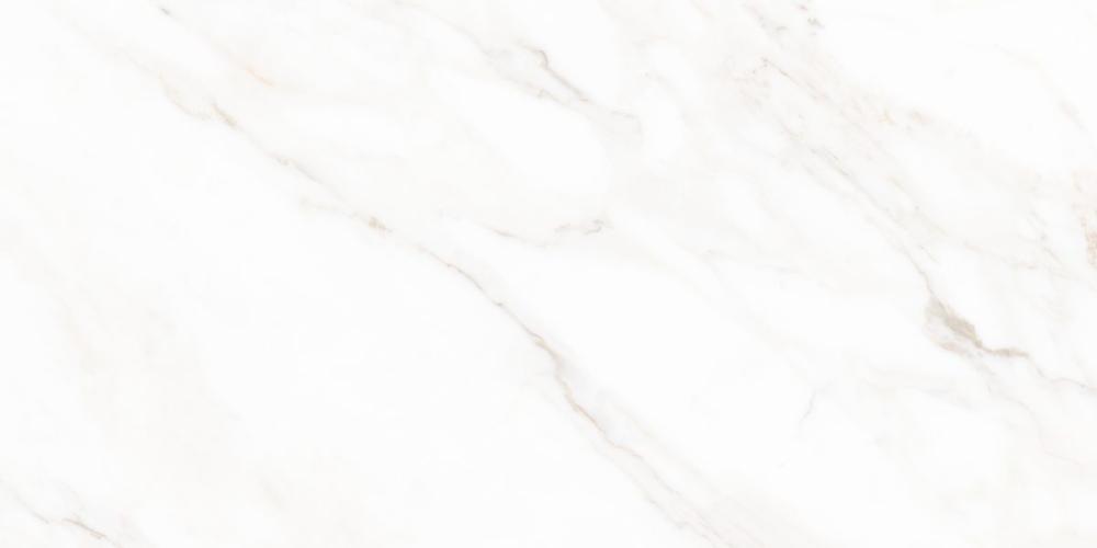 Керамогранит Neodom N40059 Classic Marble Calacatta Polished 60x120