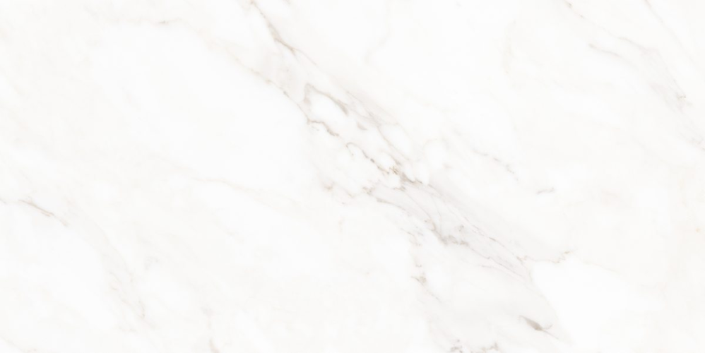 Керамогранит Neodom N40059 Classic Marble Calacatta Polished 60x120