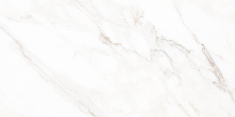 Керамогранит Neodom N40059 Classic Marble Calacatta Polished 60x120