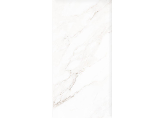 Керамогранит Neodom N40059 Classic Marble Calacatta Polished 60x120