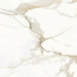 Керамогранит Ceradim х9999304484 Calacatta Superior Белый Полированный 60х120