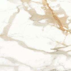 Керамогранит Ceradim х9999304484 Calacatta Superior Белый Полированный 60х120