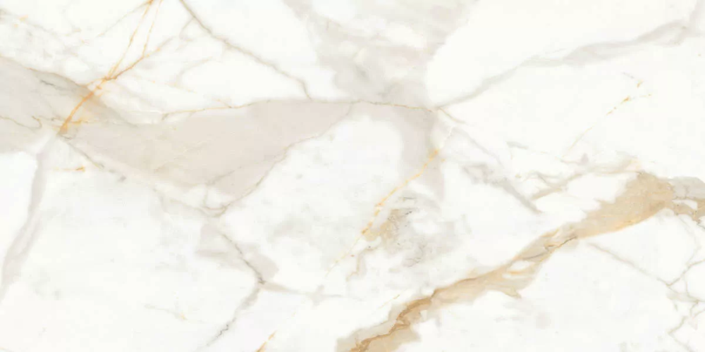 Керамогранит Ceradim х9999304484 Calacatta Superior Белый Полированный 60х120