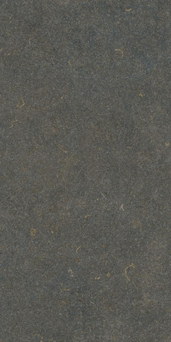 Керамогранит Living Ceramics LV12146 Oda Классик Противоскользящий 59.8x119.8