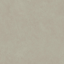 Керамогранит Atlas Concorde Italy AQ9Y Boost Natural Pro Dove 60x60