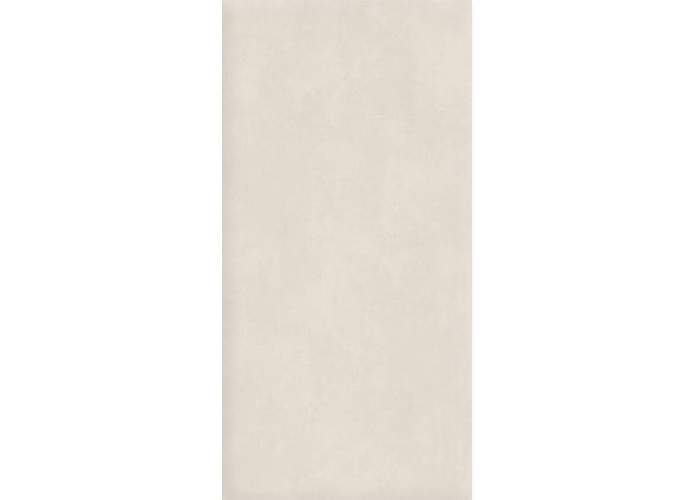 Керамогранит Alma Ceramica GFU60120BTP40R Beton Pro матовый 60x120
