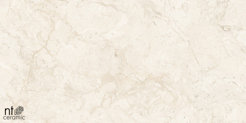 Керамогранит NT Ceramic NTT99523C Stone Almond Endless 60x120