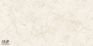 Керамогранит NT Ceramic NTT99523C Stone Almond Endless 60x120