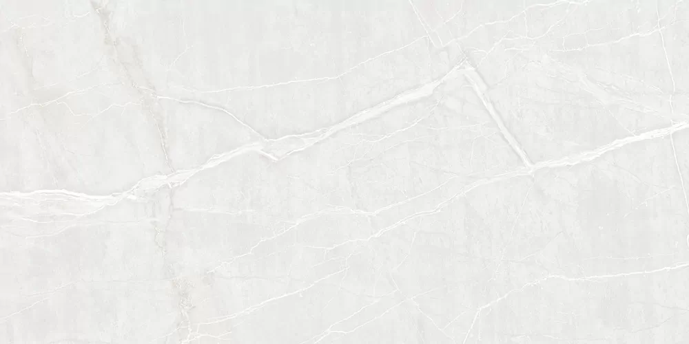 Керамогранит Duna RP-215928 Rio Bianco Carving 120x60