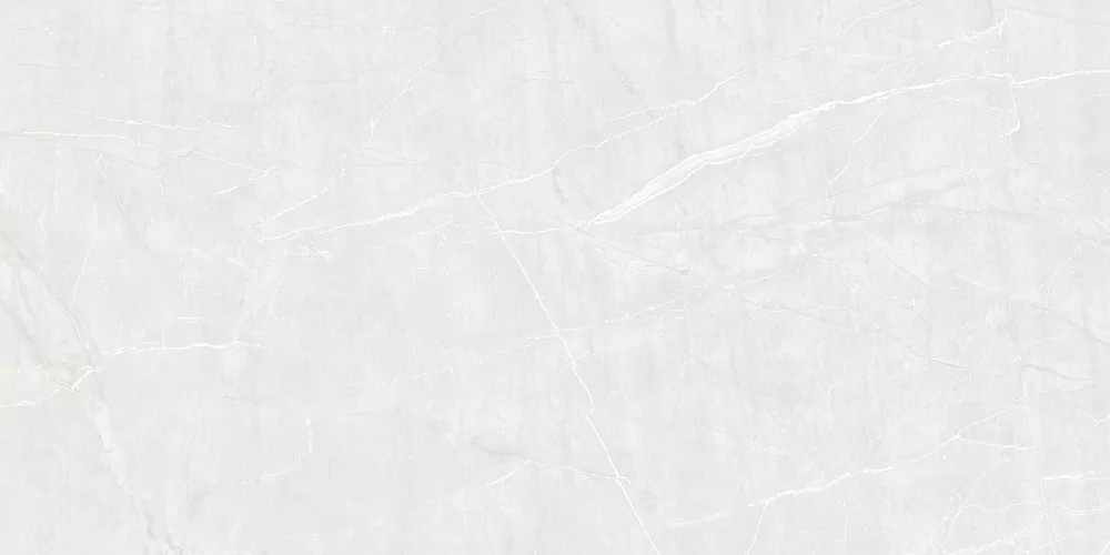Керамогранит Duna RP-215928 Rio Bianco Carving 120x60