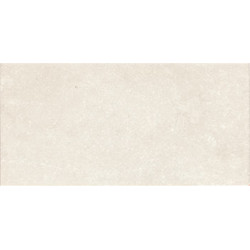 Керамическая плитка Mainzu Ravena PT02373 Blanco 10x20