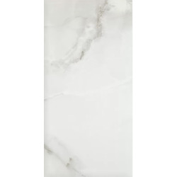 Керамогранит Pamesa 004.869.0002.00909 Fenix Gris 60x120 