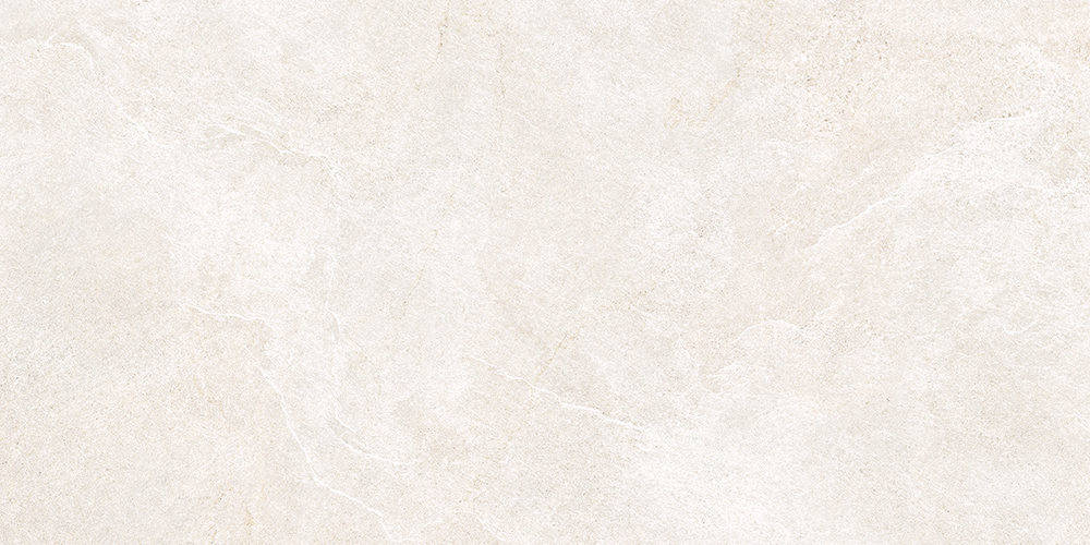 Керамогранит ProConcept 231964 North Slate White 59.5x119.2