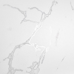 Керамогранит Neodom N20419 Classic Marble Mckinley Carving 60x120