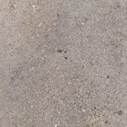 Керамогранит Prime Ceramics Terra Silver 60x60