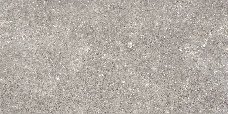 Керамогранит Pamesa 096.022.0002.00206 Dover Gris MT Rect 60x120