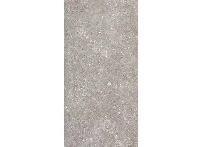 Керамогранит Pamesa 096.022.0002.00206 Dover Gris MT Rect 60x120