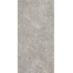 Керамогранит Pamesa 096.022.0002.00206 Dover Gris MT Rect 60x120