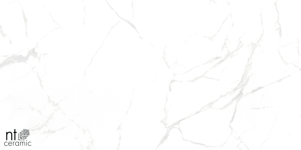 Керамогранит NT Ceramic NTT99607M Callacata carving 60x120