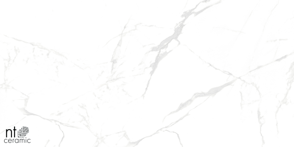 Керамогранит NT Ceramic NTT99607M Callacata carving 60x120