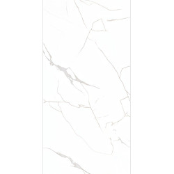 Керамогранит NT Ceramic NTT99607M Callacata carving 60x120