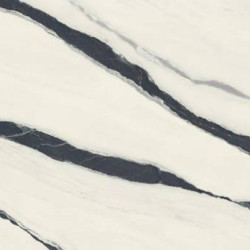 Керамогранит Atlas Concorde Russia 600180000037 Forte dei Marmi Panda White Lapp 120x278