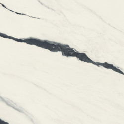 Керамогранит Atlas Concorde Russia 600180000037 Forte dei Marmi Panda White Lapp 120x278