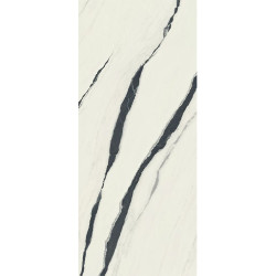 Керамогранит Atlas Concorde Russia 600180000037 Forte dei Marmi Panda White Lapp 120x278