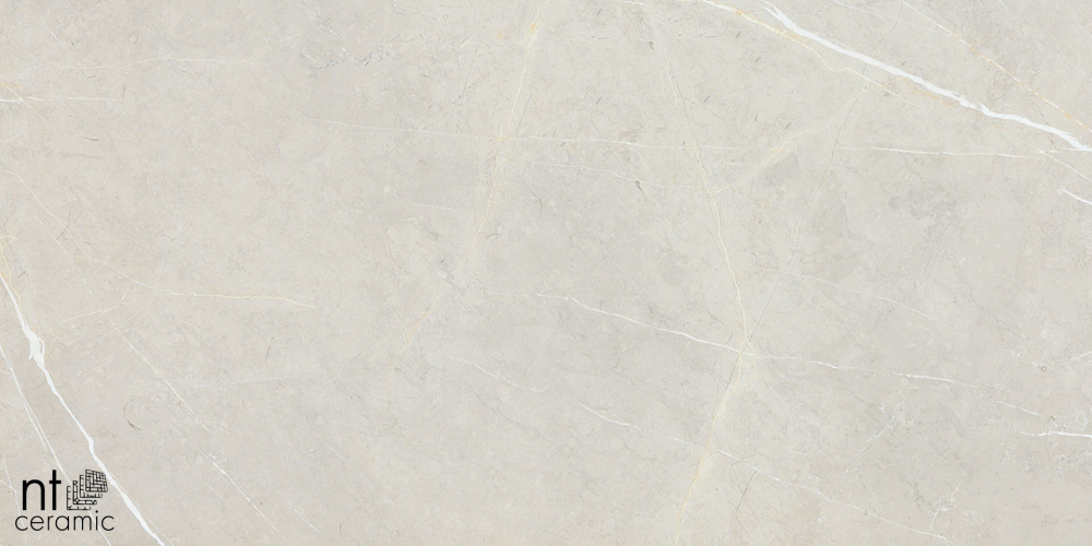 Керамогранит NT Ceramic BB612NTT9101P 60x120