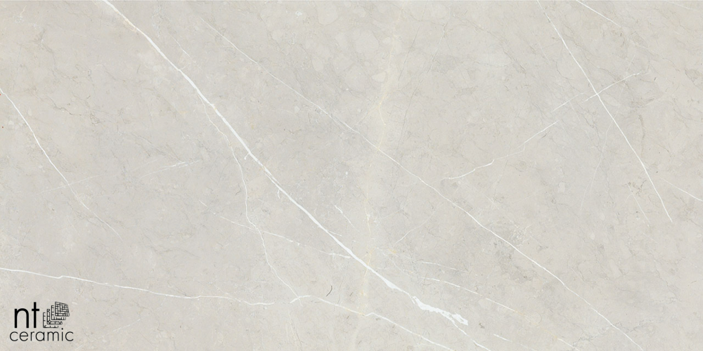 Керамогранит NT Ceramic BB612NTT9101P 60x120