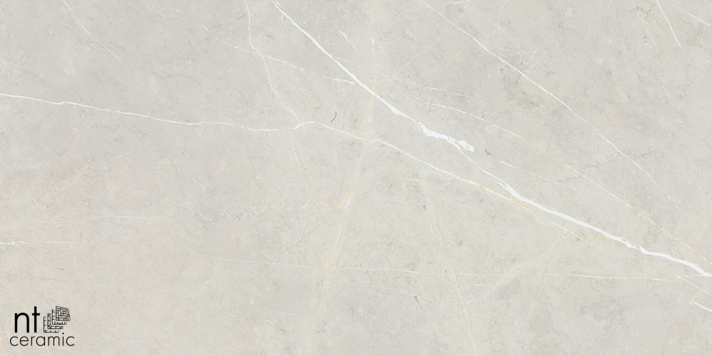 Керамогранит NT Ceramic BB612NTT9101P 60x120