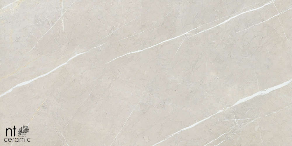 Керамогранит NT Ceramic BB612NTT9101P 60x120