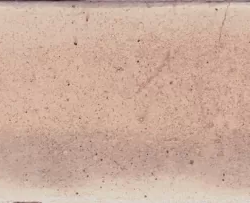 Керамогранит Cifre CFR000059 Jazba Rose Brillo 6х24.6