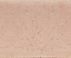 Керамогранит Cifre CFR000059 Jazba Rose Brillo 6х24.6