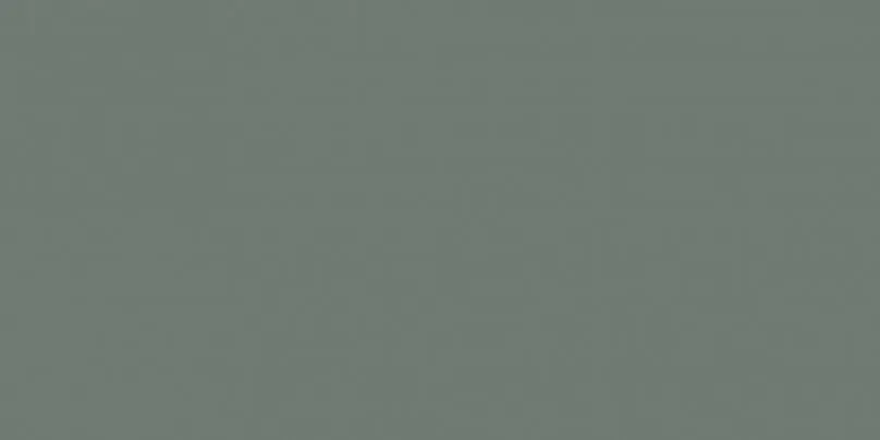 Керамогранит Baldocer Montmartre Vert Rect 60x120