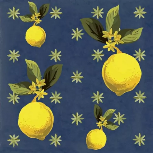 Керамогранитa Sant Agostino Vita Giardino Blu Mix Luc 20x20