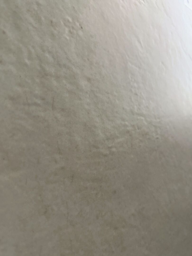 Керамогранит Geotiles 78910045 Avorio Beige бежевый 60*120