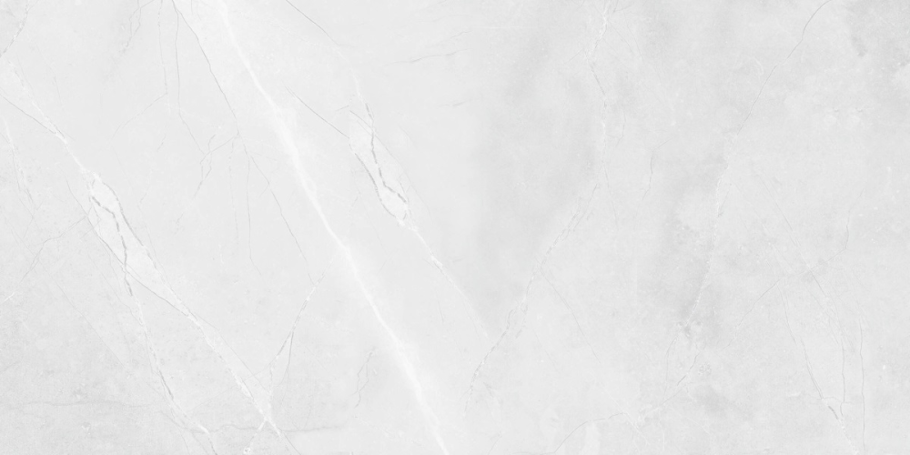 Керамогранит Royce Floris Bianco Polished R_PR2015 60x120