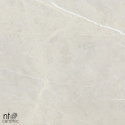 Керамогранит NT Ceramic BB6NTT9101P 60x60