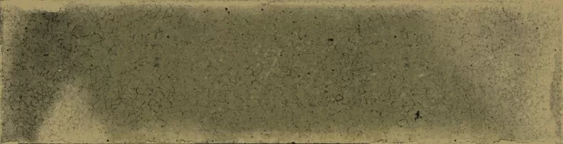 Керамогранит Cifre CFR000061 Jazba Olive Brillo 6х24.6