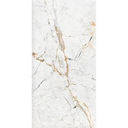 Керамогранит Duna RP-238671 Magnum White Carving 60x120