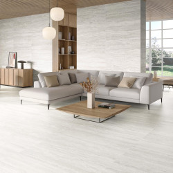 Керамогранит ProConcept 231892 Lugano Silver 59.5x119.2