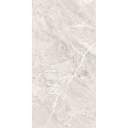 Керамогранит Art Ceramic Extra Silver Matt 60x120 