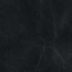 Керамогранит Atlas Concorde Russia 600010002409 Forte dei Marmi Elegant Black Matt Rett 120x120