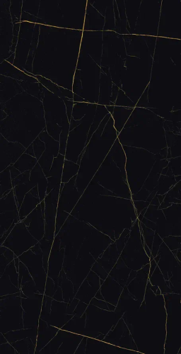 Керамогранит Eurotile GOLDEN BLACK 905 80х160